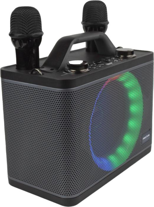 Prixton PartyGO karaoke