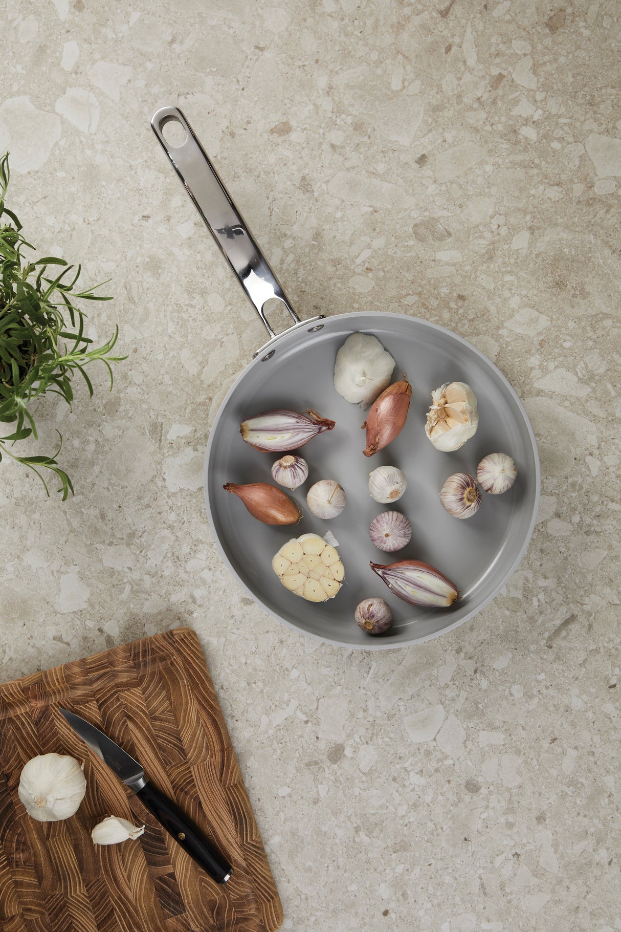 VINGA Alte RCS -paistinpannu 25 cm